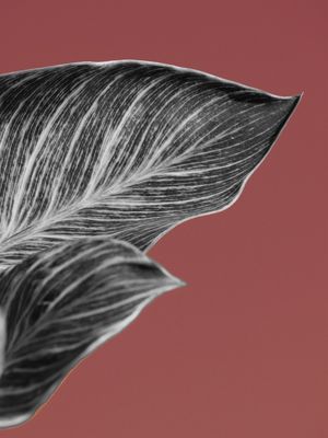 EXPERIMENTAÇÃO 01