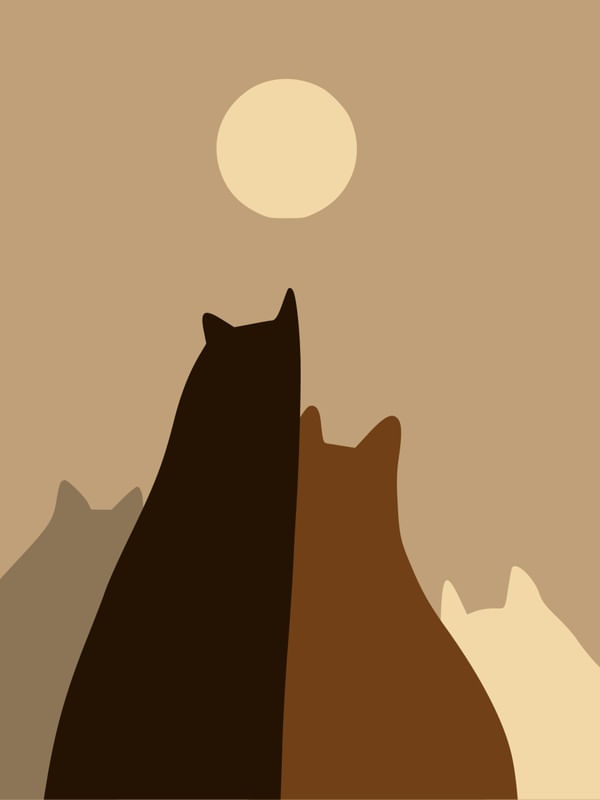 BOHO DE GATOS