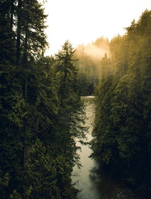 CAPILANO RIVER