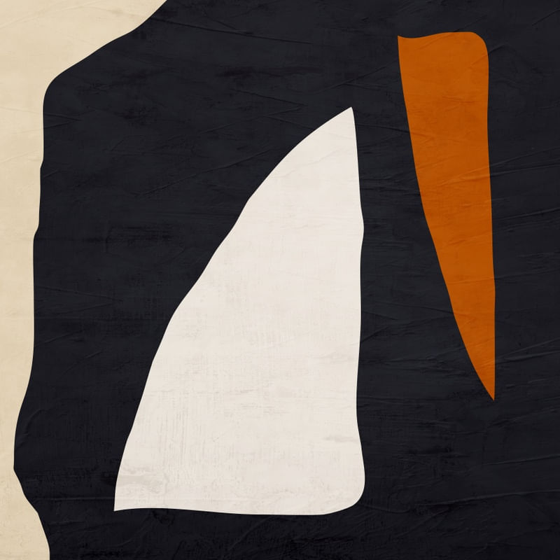 ABSTRATO ORGÂNICO - 445A-Q
