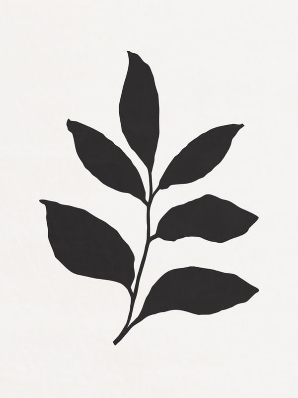 MINIMALIST BOTANICAL - BK 02