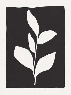 MINIMALIST BOTANICAL - BK08