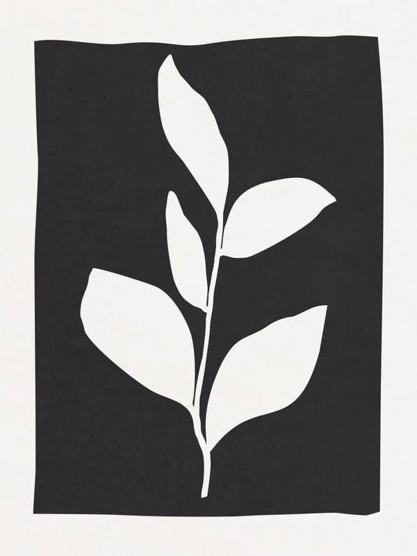 MINIMALIST BOTANICAL - BK08