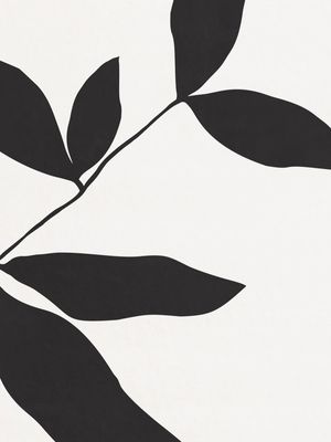 MINIMALIST BOTANICAL - DK01