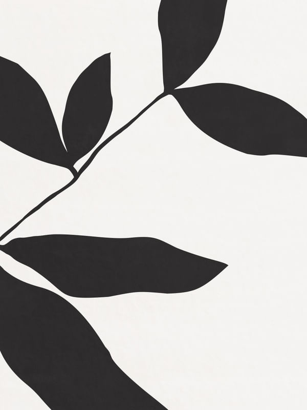 MINIMALIST BOTANICAL - DK01