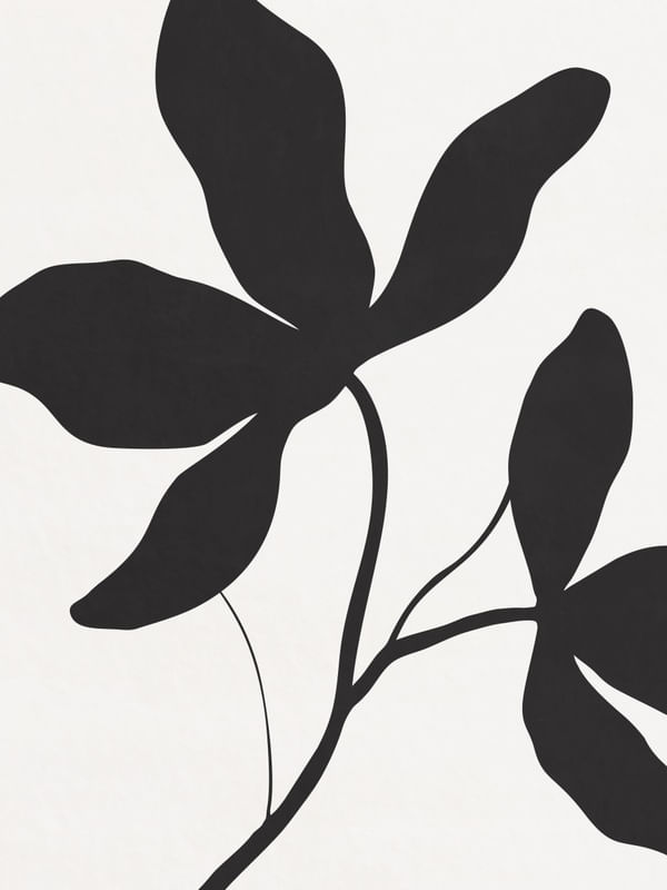 MINIMALIST BOTANICAL - DK02