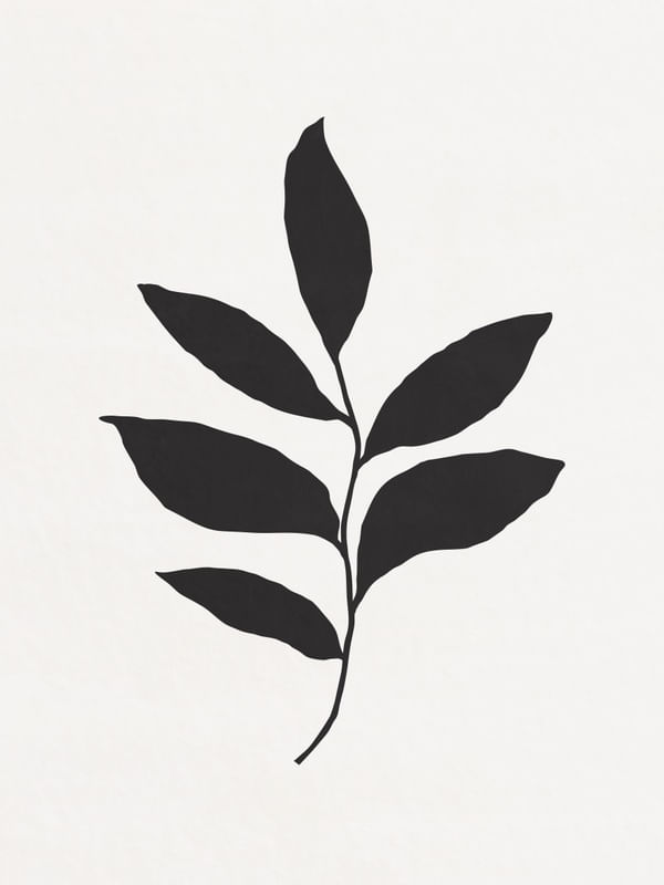 MINIMALIST BOTANICAL - BK06
