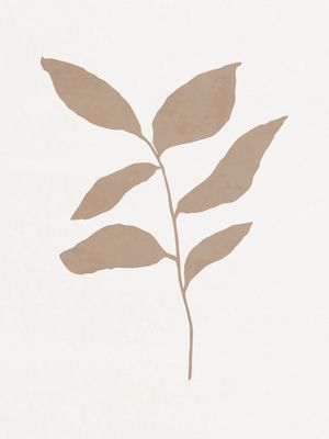MINIMALIST BOTANICAL - NUDE 01