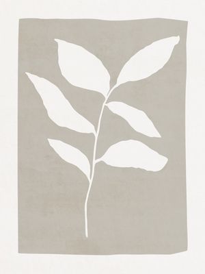 MINIMALIST BOTANICAL - CZ01