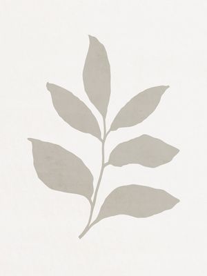 MINIMALIST BOTANICAL - CZ02