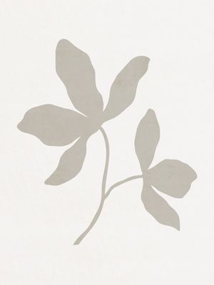 MINIMALIST BOTANICAL - CZ04