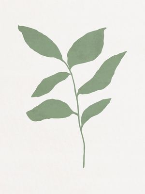 MINIMALIST BOTANICAL - GN01