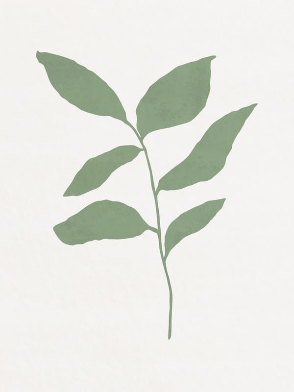 MINIMALIST BOTANICAL - GN01