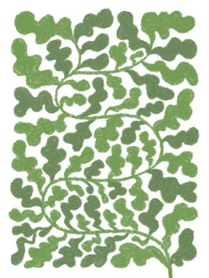 PLANTA VERDE SELVAGEM