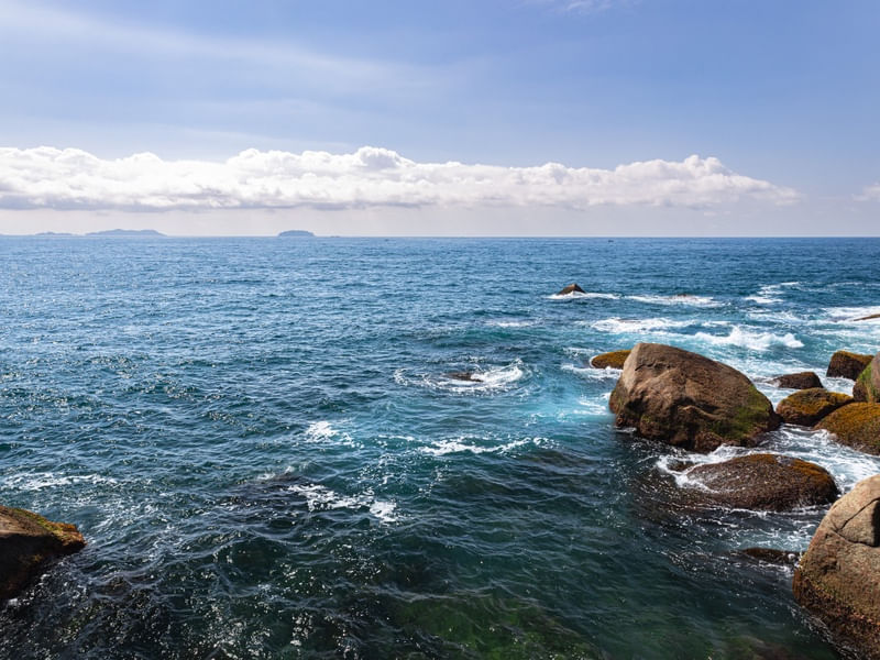 HORIZ AZUL