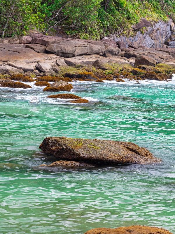 VERDE DE UBATUBA