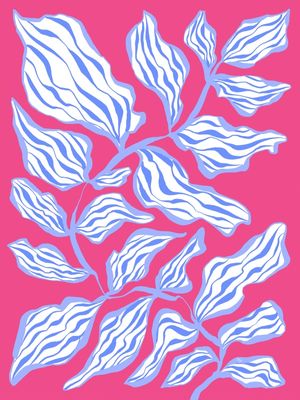 PLANTA ROSA Y AZUL