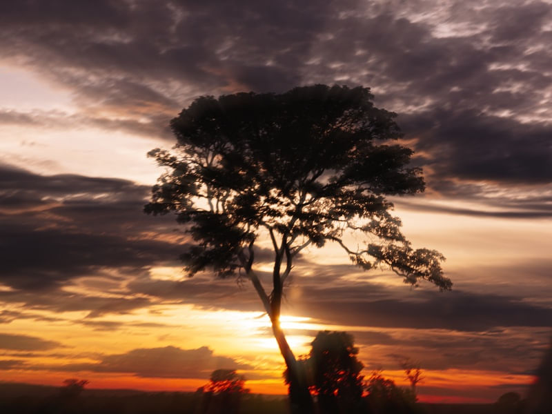 SET TO SEE THE CRIMSON SUNSET