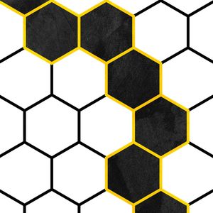 GEOMÉTRICO HEXAGONAL - 05A1-Q