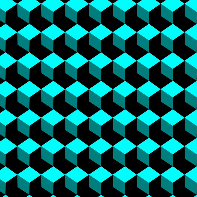 FSNG0676