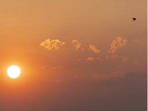 COM VISTA PARA O SOL