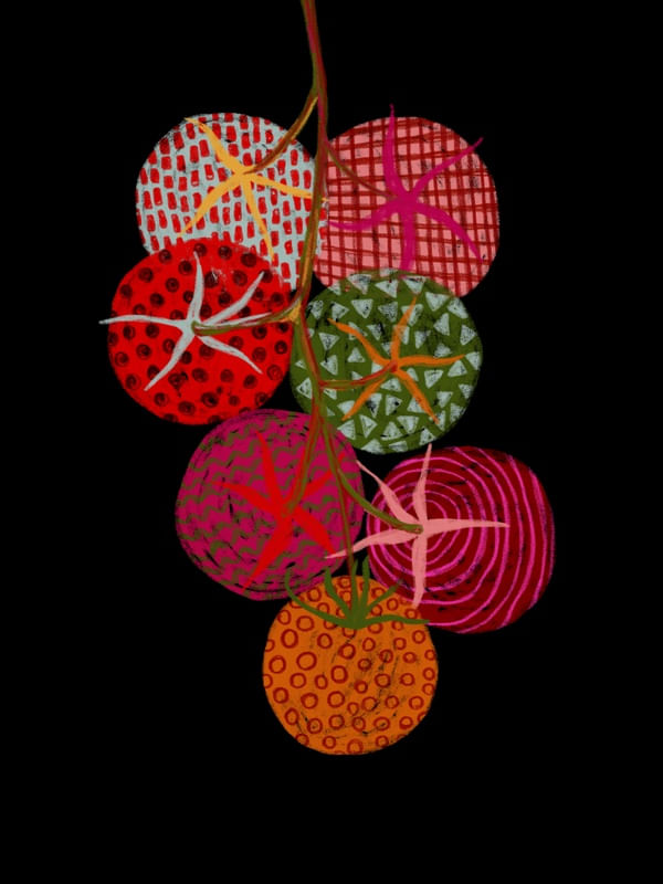 OS TOMATES