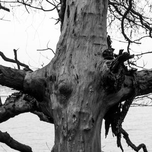 NATURAL CONTRAST 2