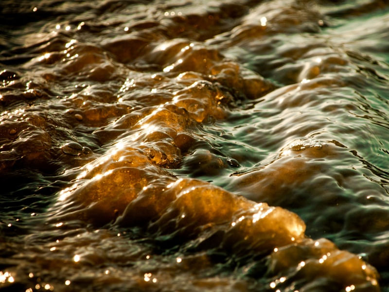 WAVEMACRO