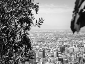 SUSSURROS URBANOS A VIDA SECRETA DAS CIDADES