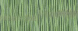 GROOVES P1PAN5
