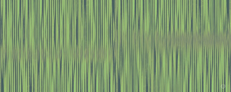 GROOVES P1PAN5