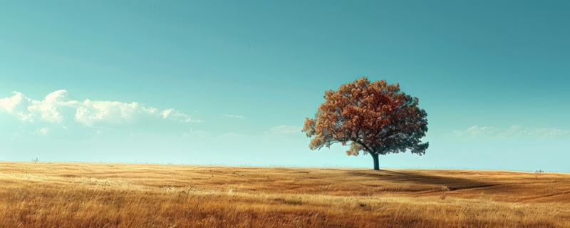 LIFE IN IMMENSE SOLITUDE BY AI