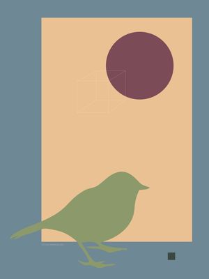 GEOBIRDS 7