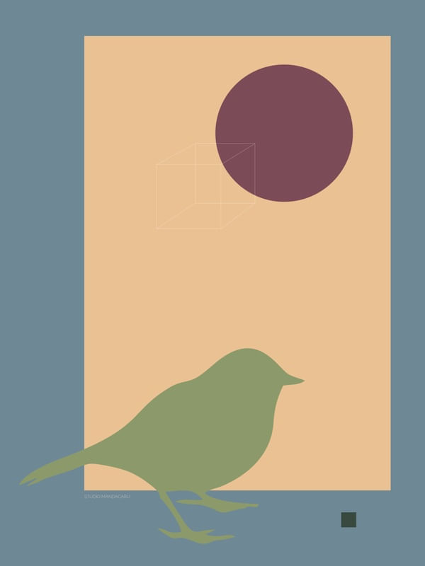 GEOBIRDS 7