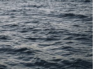 MOVIMENTO MAR