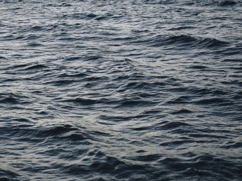 MOVIMENTO MAR