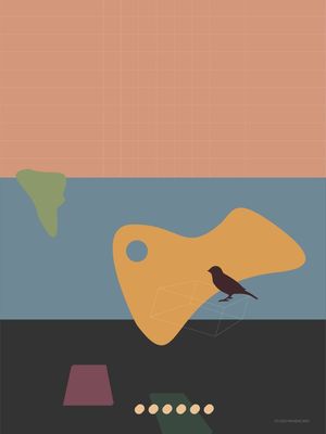 GEOBIRDS 9