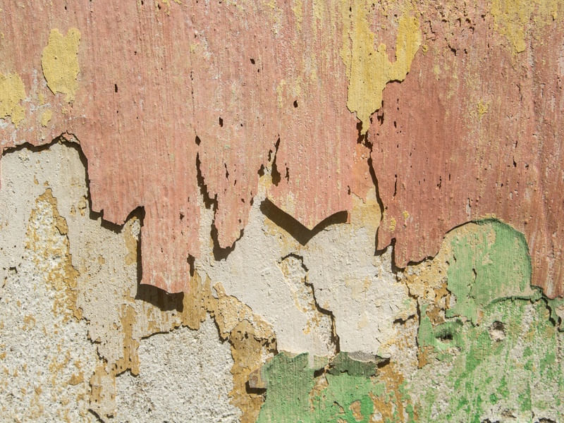 FLUXOCOLOR 5