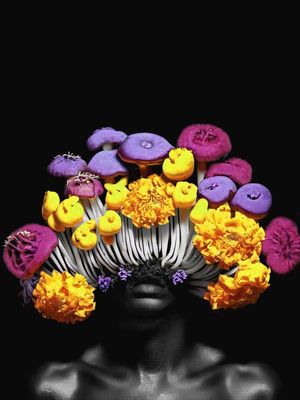 SIMBIOSE BY AI