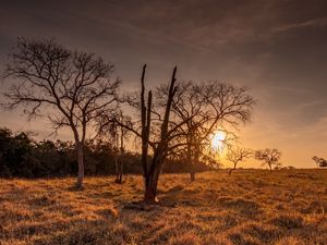 PÔR DO SOL NO CERRADO SECO