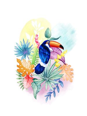 TROPICAL BRASILIDADE