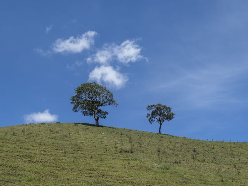 WINDOWS XP 6