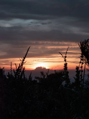 POR DO SOL NO MARINS BY OGEZUIS