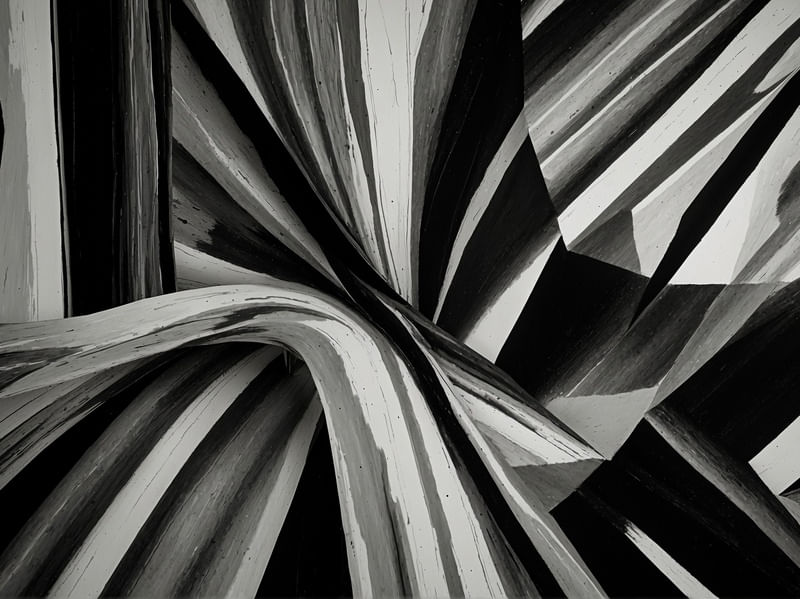 ABSTRACT PATTERNS IN BLACK AND WHITE BY AI