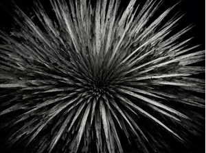 ABSTRACT PATTERNS IN BLACK AND WHITE V2 BY AI