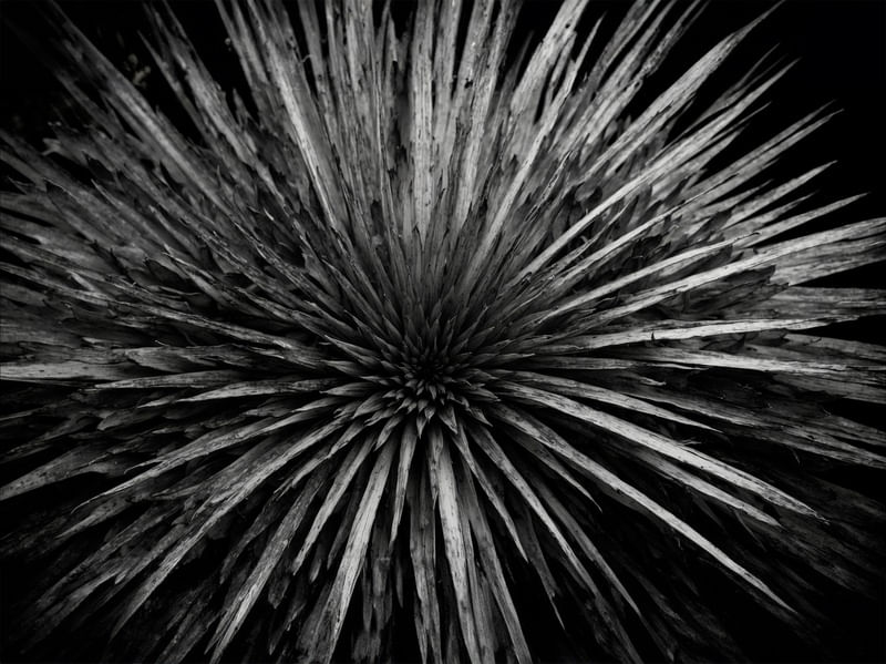 ABSTRACT PATTERNS IN BLACK AND WHITE V2 BY AI