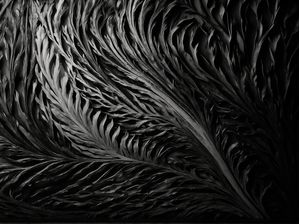 ABSTRACT PATTERNS IN BLACK AND WHITE V3 BY AI