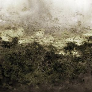 MATTER OF PERCEPTION 1 QUADRADO NEUTRO ABSTRATO ORGANICO PINTURA