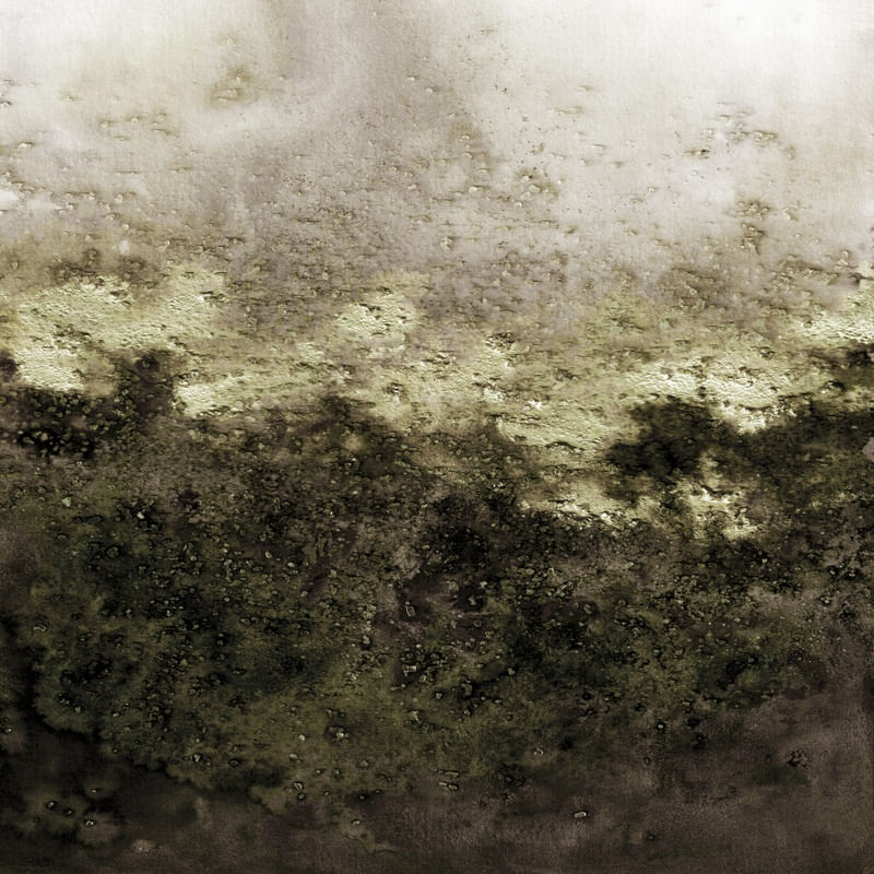 MATTER OF PERCEPTION 1 QUADRADO NEUTRO ABSTRATO ORGANICO PINTURA