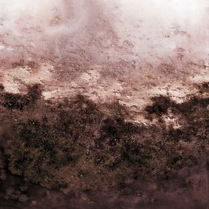 MATTER OF PERCEPTION 4 QUADRADO NEUTRO ABSTRATO ORGANICO PINTURA
